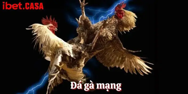 Đá gà mạng